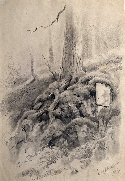Tree Roots, Ivan Ivanovich Shishkin