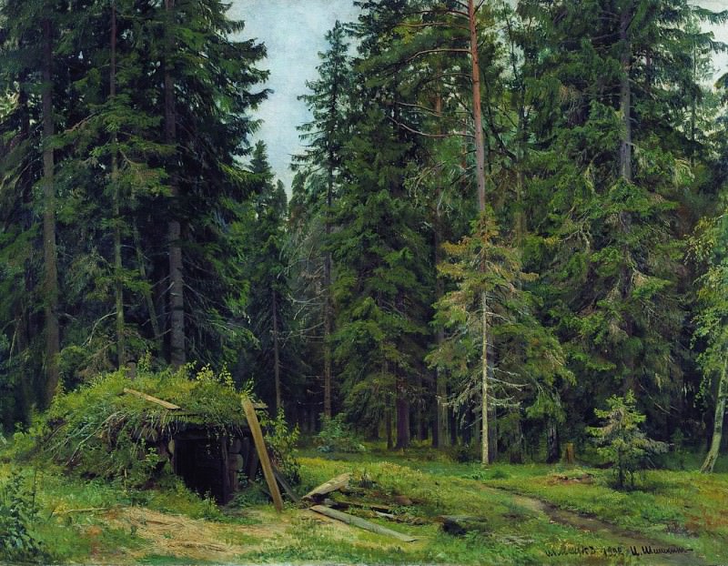 Forest lodge. 1892, 84 5h112, Ivan Ivanovich Shishkin