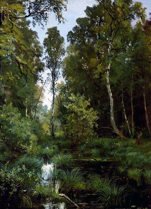 overgrown pond at the edge of the forest. Siverskaya. 1883 56h42, Ivan Ivanovich Shishkin
