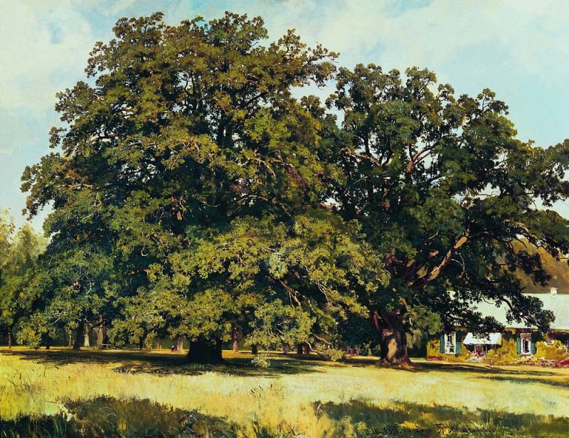 Mordvinovskie oaks 1891 84h111, Ivan Ivanovich Shishkin