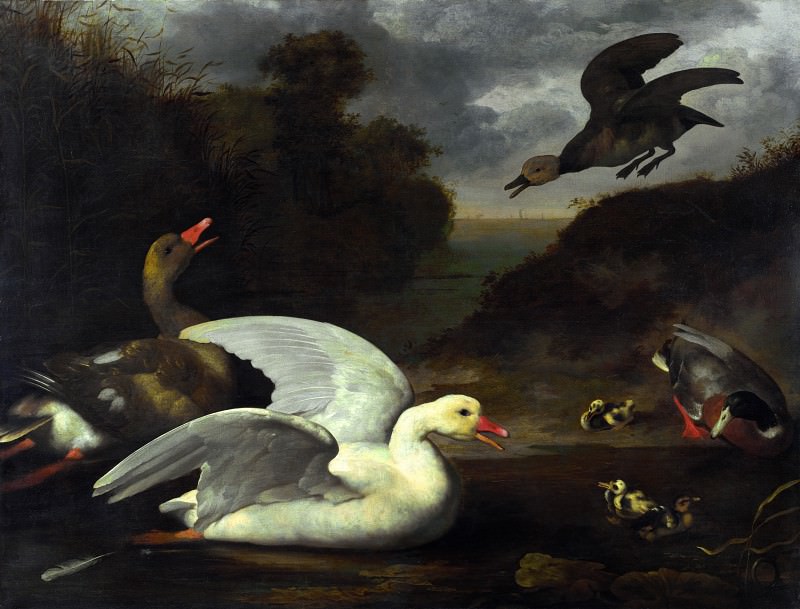 Johannes Spruyt – Geese and Ducks, Part 4 National Gallery UK