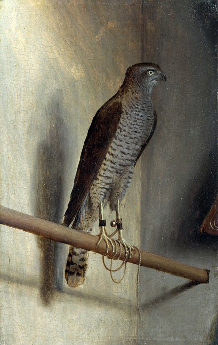 Jacopo de Barbari – A Sparrowhawk, Part 4 National Gallery UK