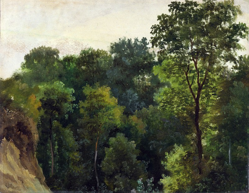 Жан-Мишель Сель – Этюд деревьев, Часть 4 Национальная галерея