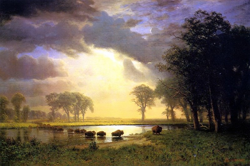 Bierstadt Albert The Buffalo Trail, Albert Bierstadt