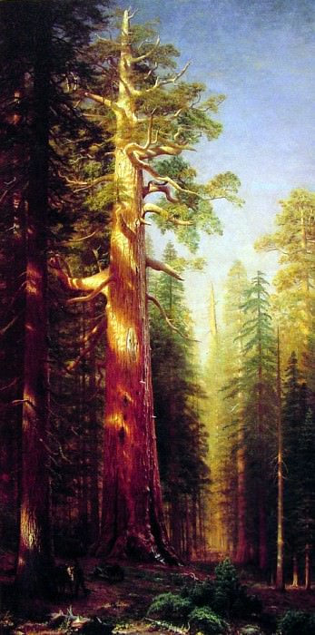The Great Trees, Albert Bierstadt