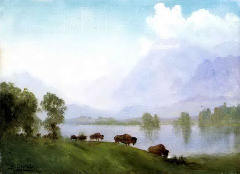 Bierstadt Albert Buffalo Country, Albert Bierstadt