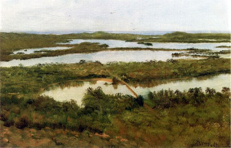 Устье реки, Альберт Бирштадт