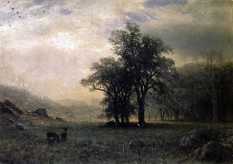 Bierstadt Albert Deer in a Landscape, Albert Bierstadt