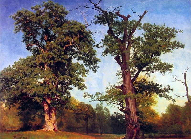 Pioneers of the Woods, Albert Bierstadt