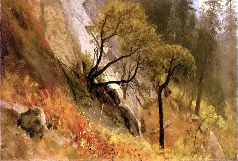 Bierstadt Albert Landscape Study Yosemite California, Albert Bierstadt