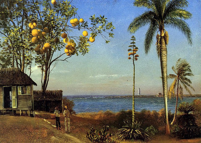 Bierstadt Albert A View in the Bahamas, Albert Bierstadt