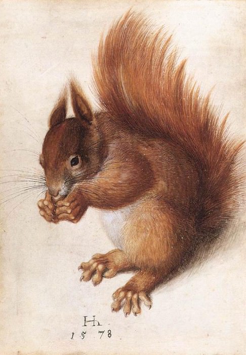 HOFFMANN Hans Squirrel, German artists
