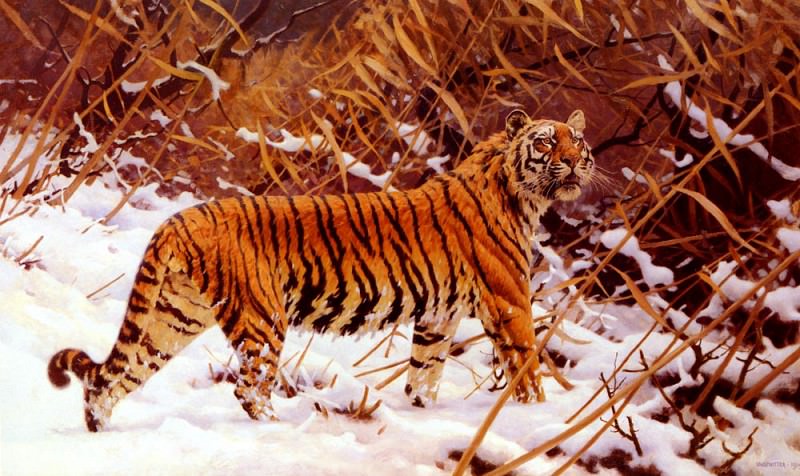 Ungewitter Hugo Siberischer Tiger In Einer Schneelandschaft, Немецкие художники