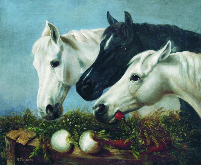 Horse delicacy, Nikolay Sverchkov