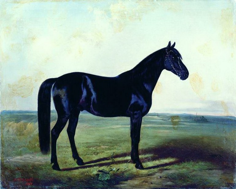 Black horse, Nikolay Sverchkov