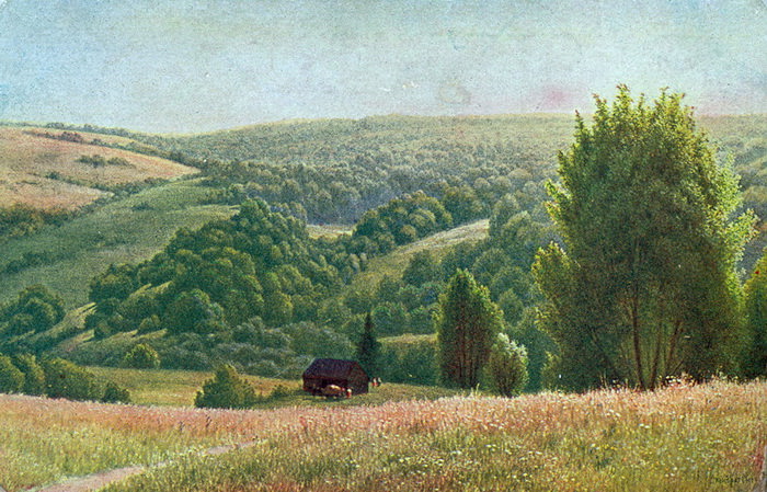 Forest distances, Gavriil Kondratenko