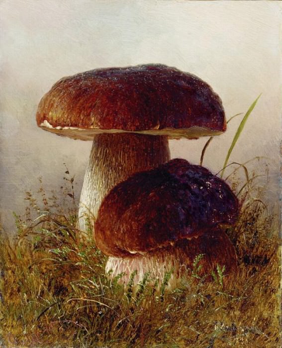 Porcini mushrooms Etude, Gavriil Kondratenko