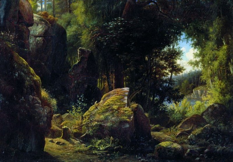 Rocky view in forest, Lev Kamenev