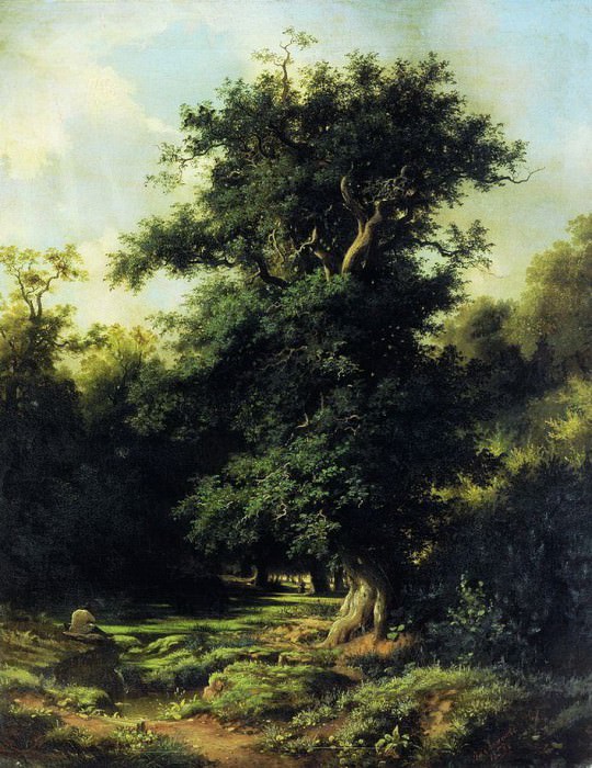 Old oak, Lev Kamenev