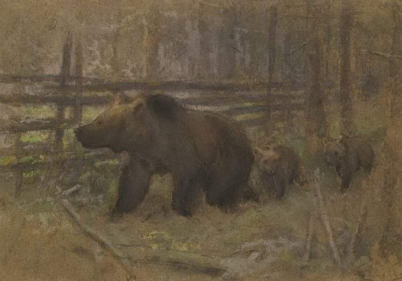 Bear with cubs, Alexey Stepanov