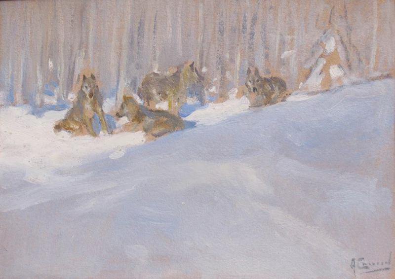 Wolves, Alexey Stepanov