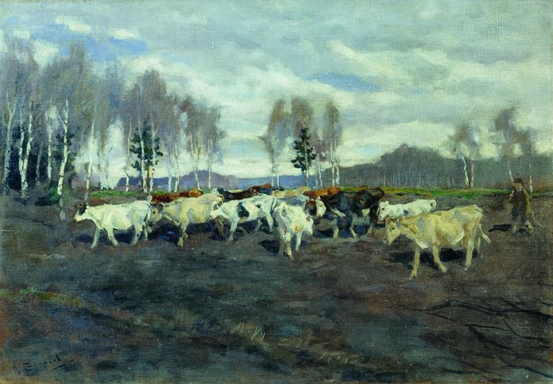 Herd, Alexey Stepanov