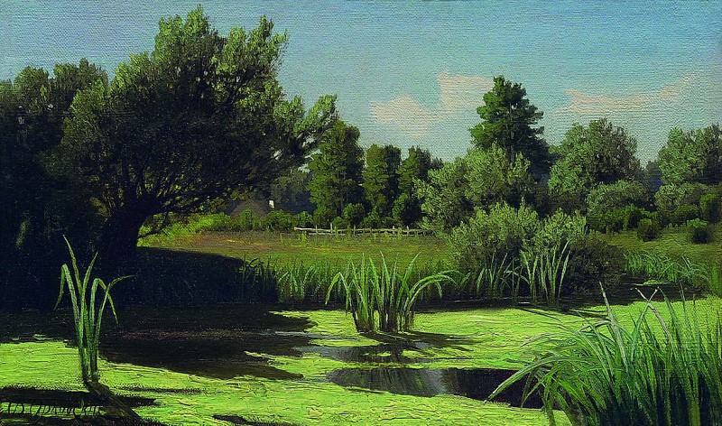 Landscape. Reeds on the river, Vladimir Orlovsky