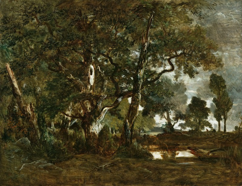 Руссо Пьер-Этьен-Теодор – Лес в Фонтенбло 1849-55, Музей Гетти