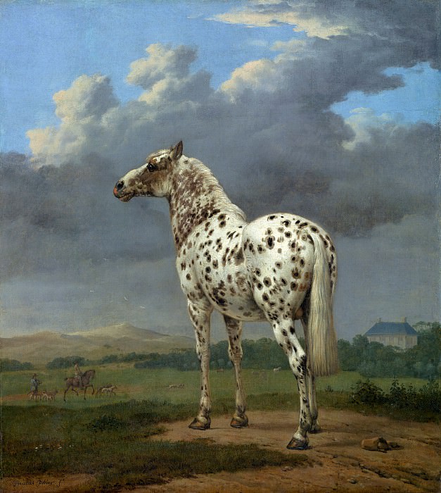 Поттер Пауль Питерс – Пегая лошадь 1650-54, Музей Гетти