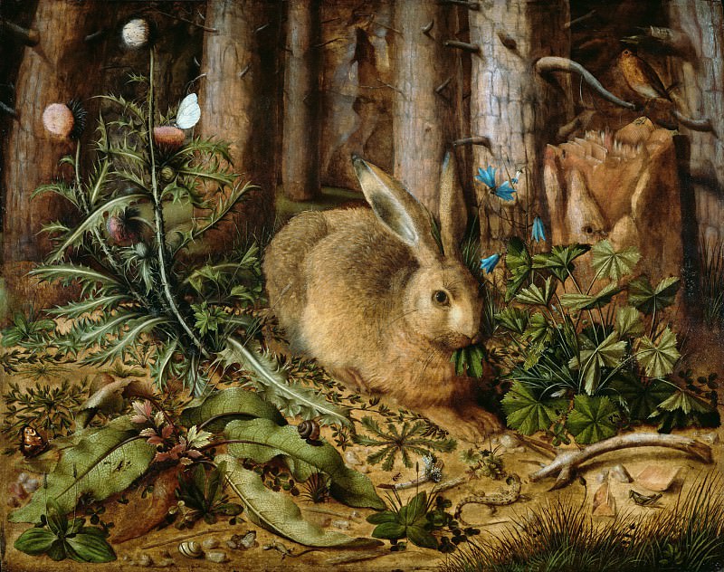 Хоффманн Ганс – Заяц в лесу ок1585, Музей Гетти