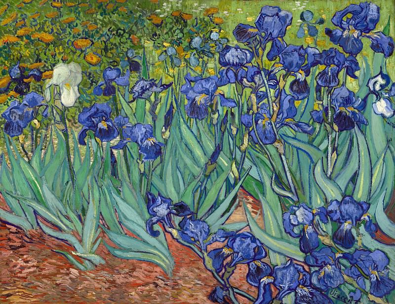 Gogh Vincent van – Irises 1889, J. Paul Getty Museum