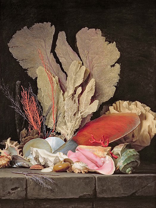Валайе-Костер, Анна -- Натюрморт с водорослями, литофитами и раковинами, Part 6 Louvre
