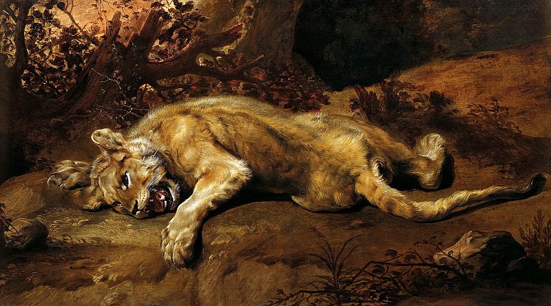 Frans Snyders – Lion cub, Liechtenstein Museum (Vienna)