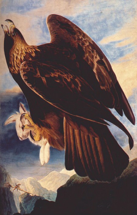 golden eagle 1833. John James Audubon