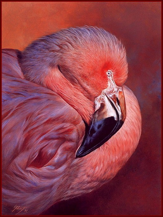 Фламинго. Эдвард Олдрич