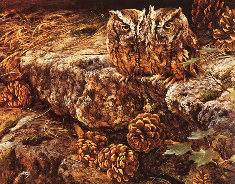 Screech Owl Pairwith Pine Cones. Edward Aldrich