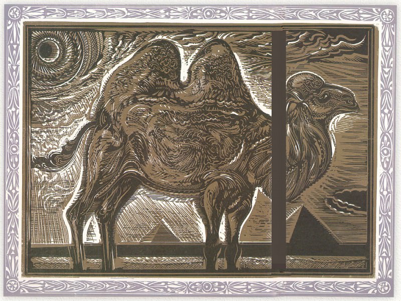 Camel. Stephen Alcorn