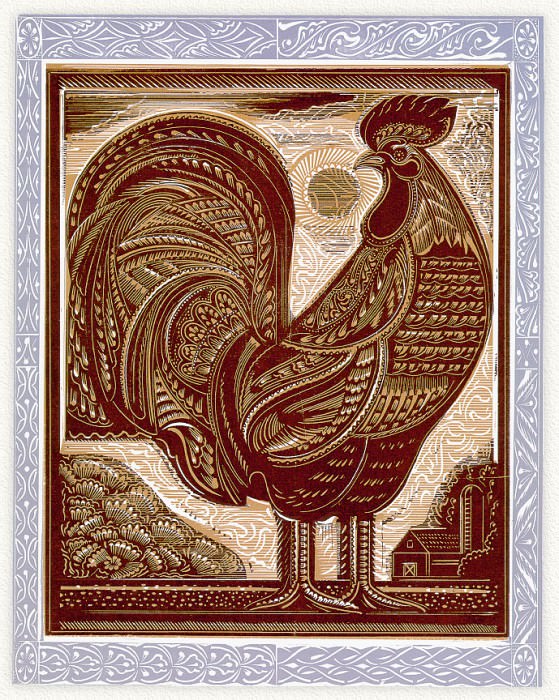 Rooster. Stephen Alcorn