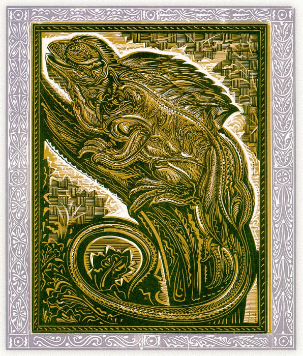 Iguana. Stephen Alcorn