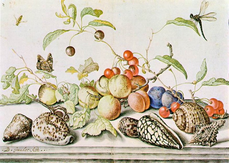 Натюрморт 1628. Бальтазар ван дер Аст