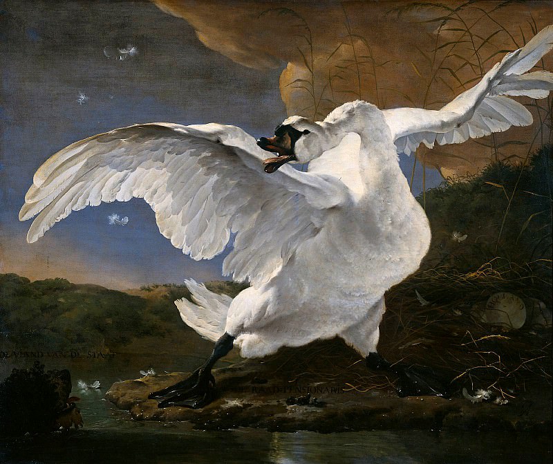 The threatened swan. Jan Asselyn