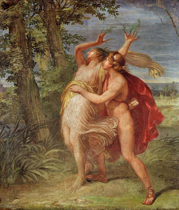 Apollo and Daphne. Andrea Appiani