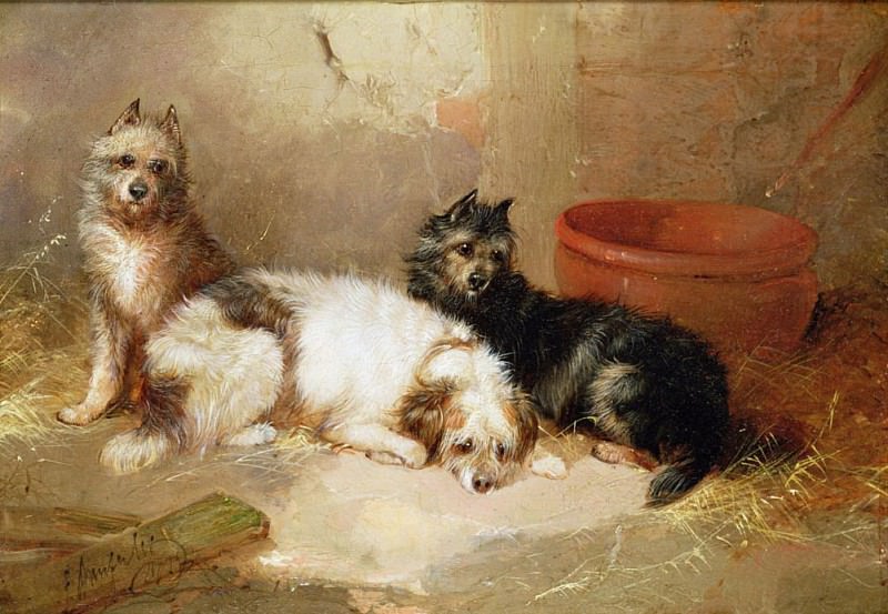 Three Terriers. George Armfield