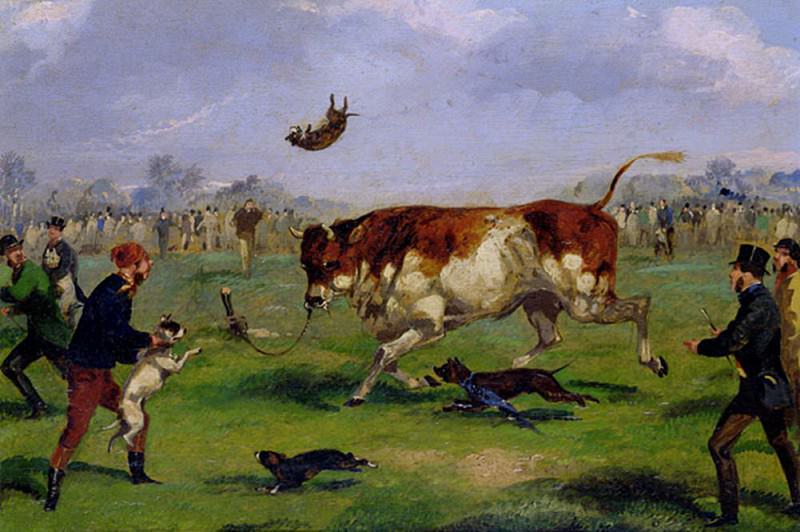Bull Baiting. Samuel Henry Alken