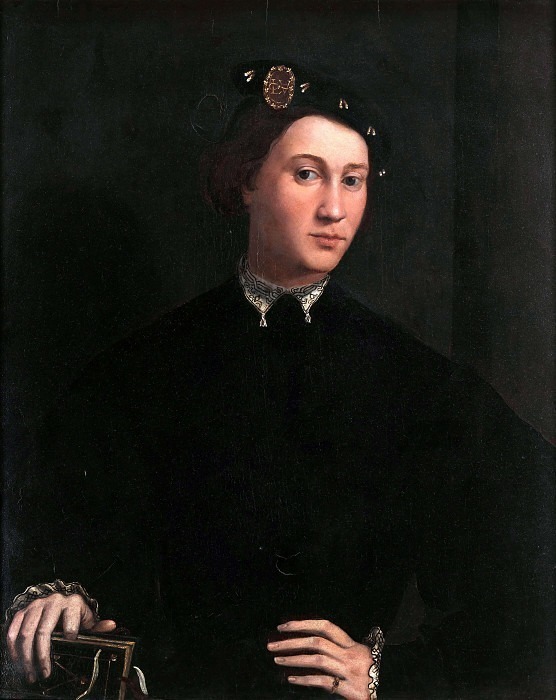 Portrait of a Young Man with a Book. Niccolo dell Abate