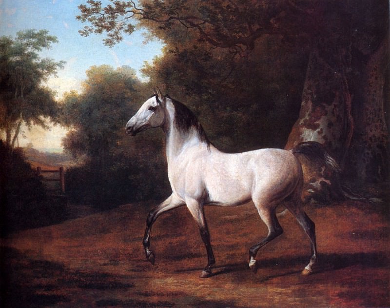 A Grey Arab Stallion In A Wooded Landscape. Jacques-Laurent Agasse