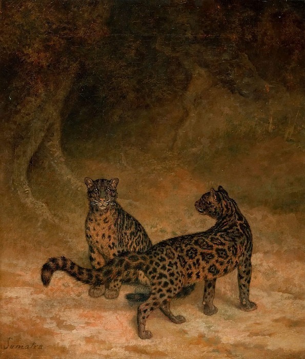 Туманные леопарды. Жак-Лоран Агас