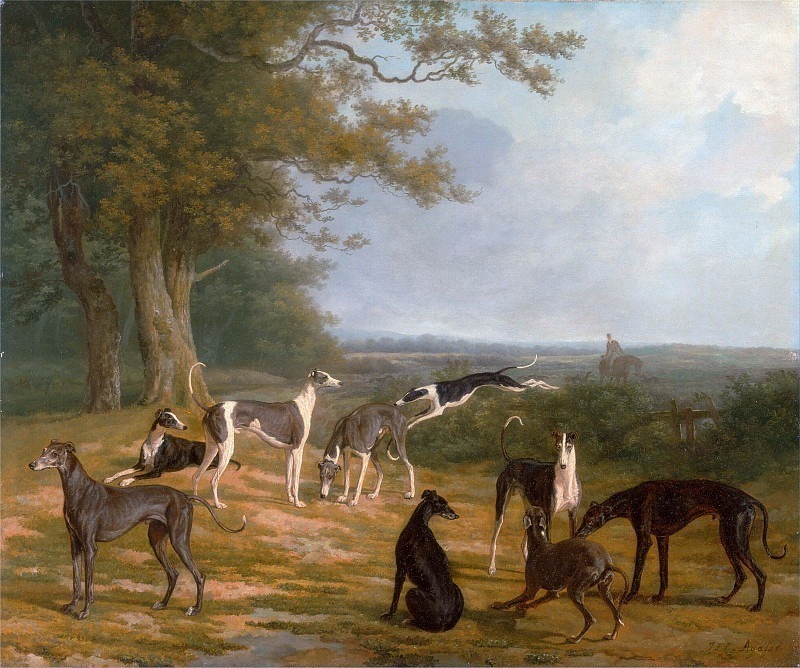 Nine Greyhounds in a Landscape. Jacques-Laurent Agasse