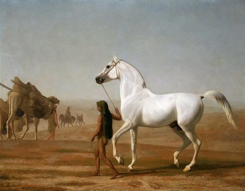 The Wellesley Grey Arabian Led through the Desert. Jacques-Laurent Agasse