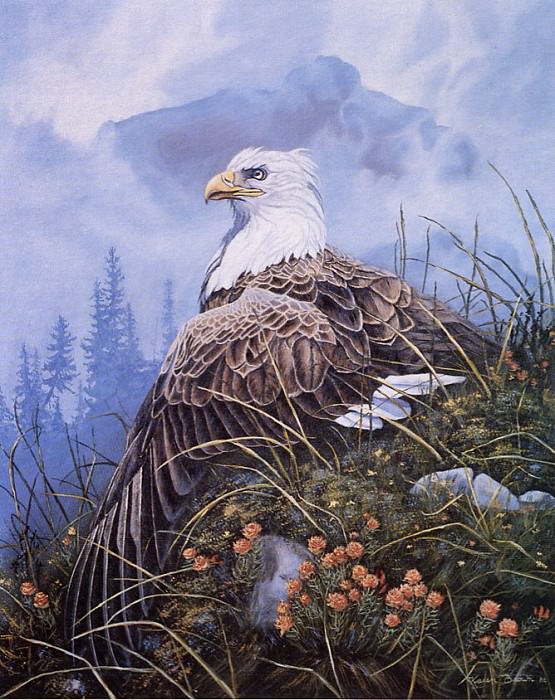 Resting Eagle. Karen J Brown